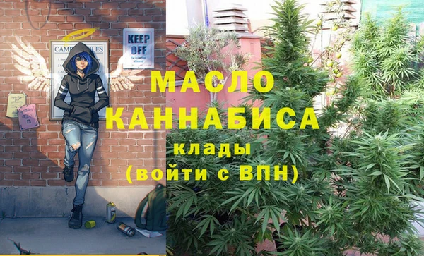тгк Бронницы