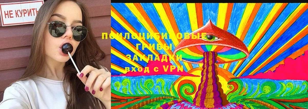 PSILOCYBIN Бугульма