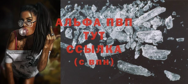 PSILOCYBIN Бугульма