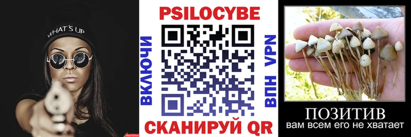 Галлюциногенные грибы мухоморы  Купить закладки  Вязьма 